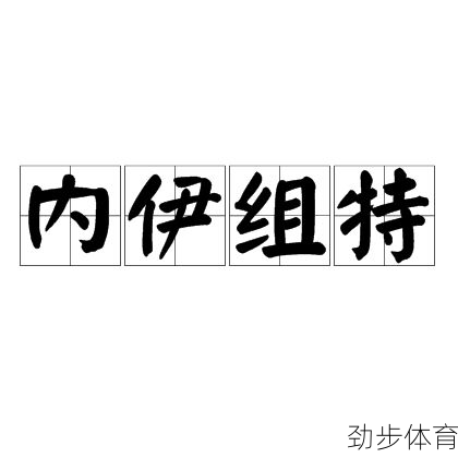 内伊组特指的是什么(内伊组特是什么意思)